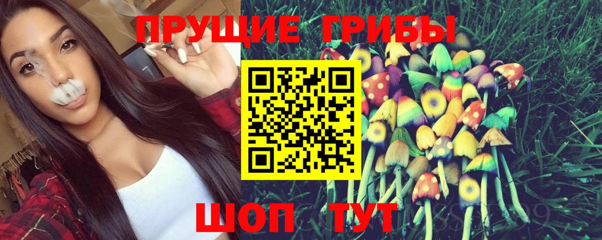 Долгопрудный  Псилоцибиновые грибы мухоморы  Псилоцибиновые грибы мицелий  Вход с VPN 